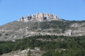 isasa 04.jpg